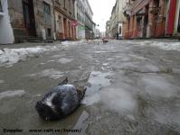 Imagine atasata: Reabilitare centru - 2015.01.11 - 25.jpg